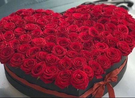 100 red roses in a box