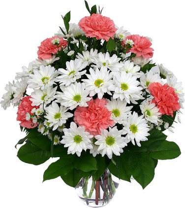 Bouquet with carnations, daisies and asters