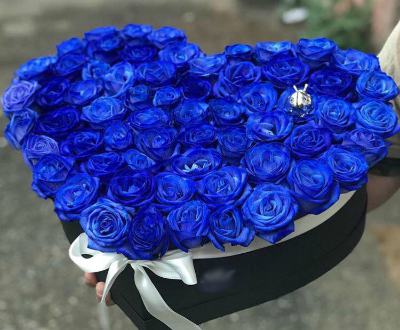 Blue roses