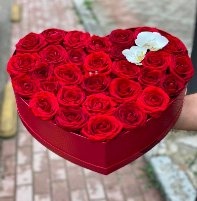 25 trendafila te kuq ne kuti