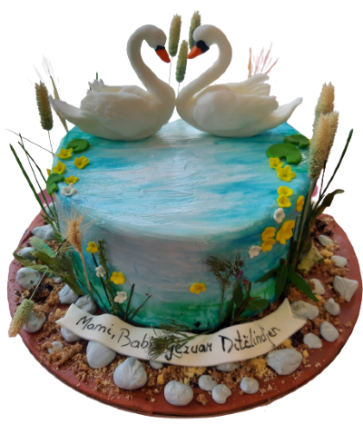 SWAN CAKE | BIRTHDAY CAKE | VLOG#28 - YouTube