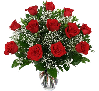 Dosen red roses on vase