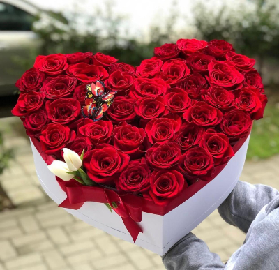 50 trendafila te kuq ne kuti